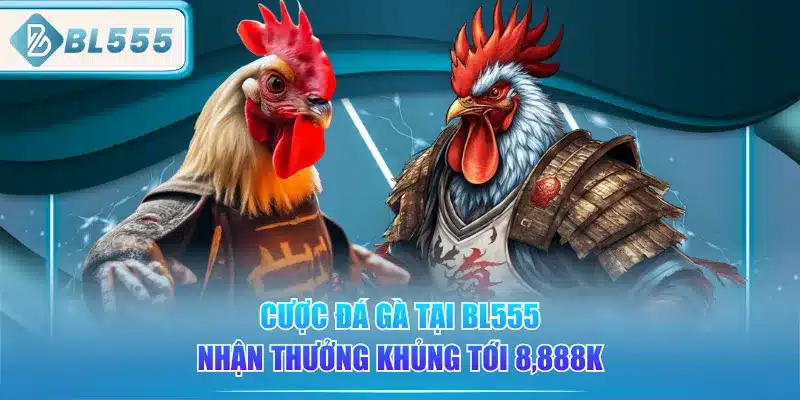 cuoc-da-ga-tai-bl555-nhan-thuong-khung-toi-8888k