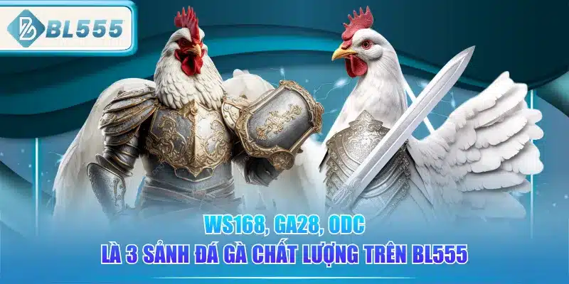 ws168-ga28-odc-la-3-sanh-da-ga-chat-luong-tren-bl555